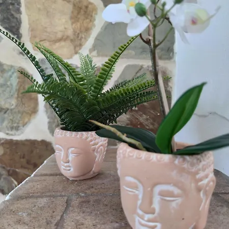 Volkkanrentals Casa La Hoya 法马拉