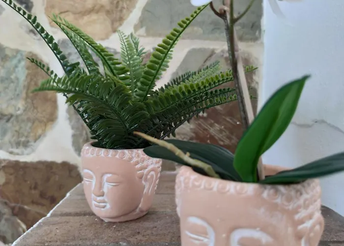 Volkkanrentals Casa La Hoya 파마라